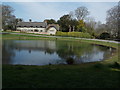 Ashmore: the pond and Pond Cottage