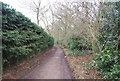 Norfolk Coast Path, Beacon Hill