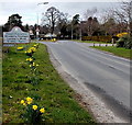 Welcome to Presteigne, Gateway to Wales