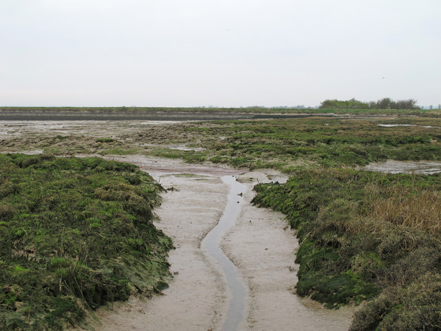 Channel through the mud at Skinners Wick, Tolleshunt D'arcy