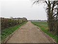 Looking north along Pages Lane, Tolleshunt D