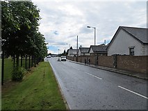 C6909 : Garvagh Road, Dungiven by Richard Webb
