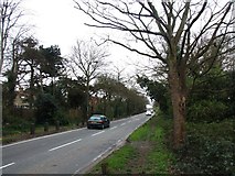 TQ4777 : Brampton Road, West Heath by Chris Whippet