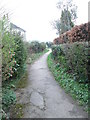 Footpath - end of Green Lane