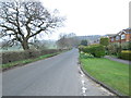 Weston Lane - viewed from Throstle Nest Close