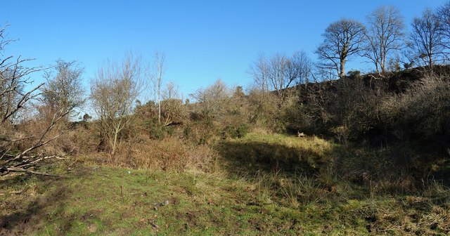 Disused quarry: northern end