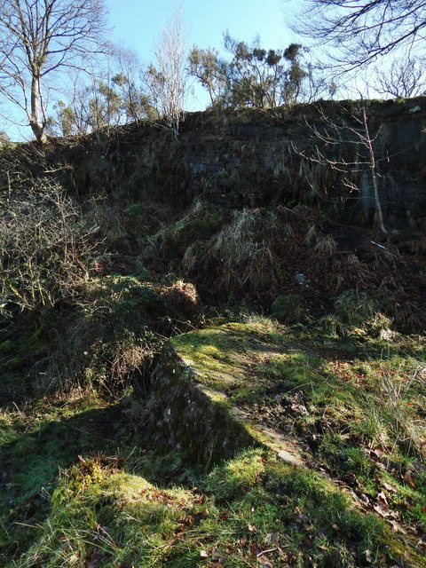 Disused quarry: eastern side