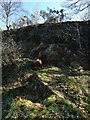 Disused quarry: eastern side