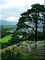 Summit of Castlehead near Keswick