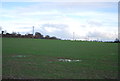 Farmland by Henley Rd