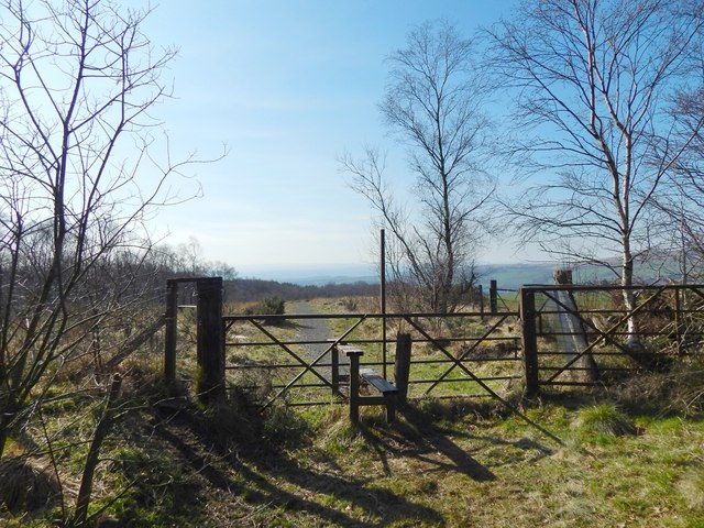 Gate and stile