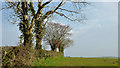 J4268 : Hedge and field near Comber by Albert Bridge