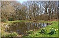 The village pond at Trimpley (1), Worcs