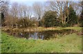 The village pond at Trimpley (2), Worcs