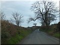 Minor road with passing place near Wonton