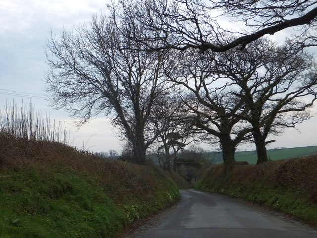 Minor road south-east of Wonton Cross