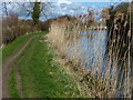 Grand Union Canal and towpath near Gee