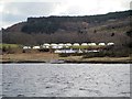 NM7236 : Camp Site near Craignure by David Dixon