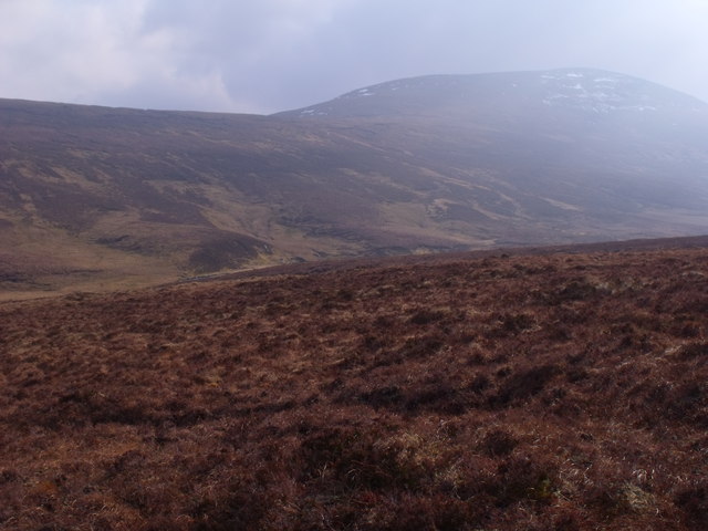 Slopes to the south-east of Meallan Odhar nan Glasa in Freevater Forest, Scottish Highlands
