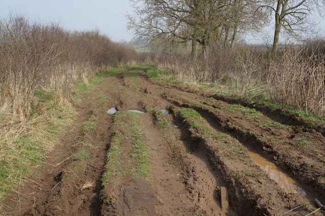 Garton Balk (track) towards the A166