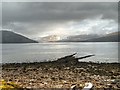 NN0907 : Loch Fyne by David Dixon