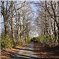 Ord House driveway