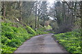 Mid Devon : Country Lane