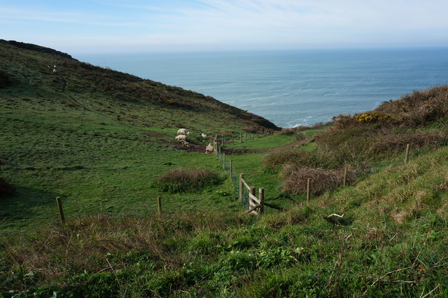 View down West Hollicombes to the sea