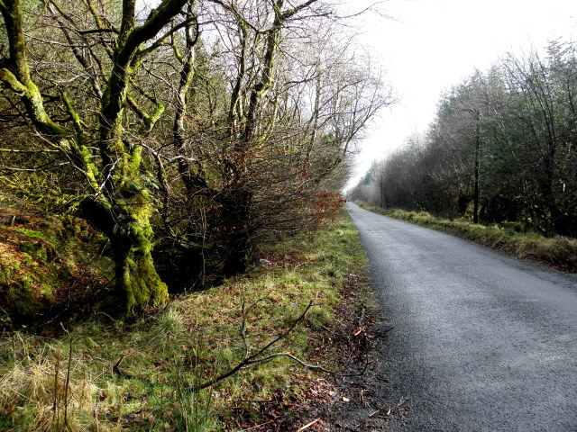 Road near Tullylack