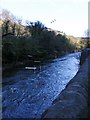SK2958 : Matlock River View by Gordon Griffiths
