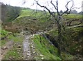 Footpath crosses brook at Wicken