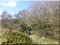 Footbridge on path down from Pobgreen