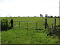 Hay field south of Eshwary Road