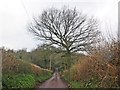 Nethercott Lane