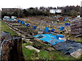 Western edge of  Pant-y-Pwdyn Road allotments in Abertillery