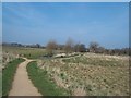 Footpath and Common by Hilton Brook