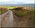 ST3596 : Muddy road and field entrance near Llangybi by Jaggery