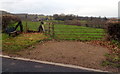 Bench and a field gate, Llangybi