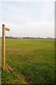 Footpath to Cock Clarks