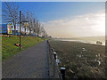 Martin Earles Wharf: low tide