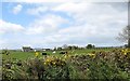 Black Gap Farm off Divernagh Road