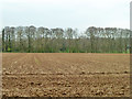 Ploughed field near Belmore House