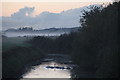 Swans on the Old River Axe, near Biddisham