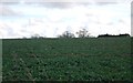 Farmland east of Ashbocking Rd