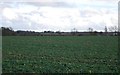 Crops by Ashbocking Rd