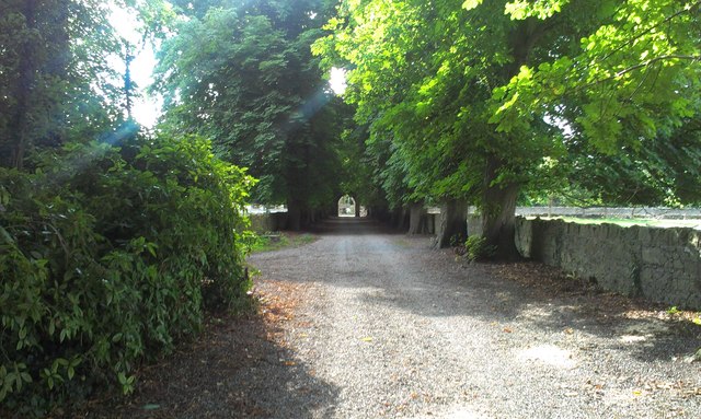 Path leading from St. Patricks church, Marlfield