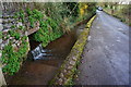 Stream by the side of Love Lane, Marldon