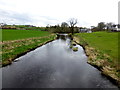 Camowen River, Edenderry