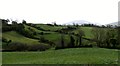 Valley slope grazing land south of Drumharriff Road