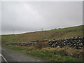 Farmland and Dry-Stone Wall